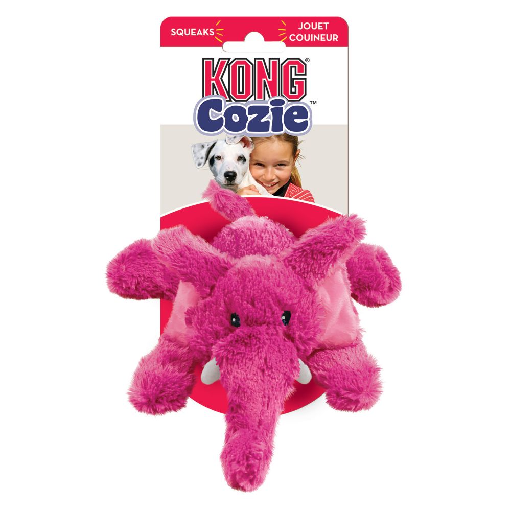 kong cozie brights