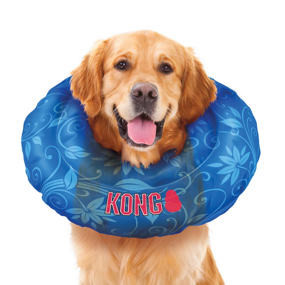 kong neck cushion